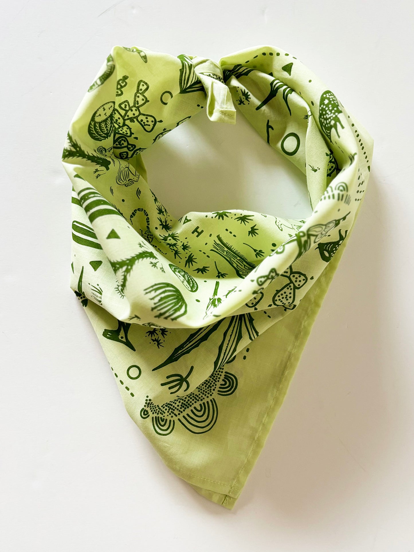 Desert Green Bandana | 100% Cotton | Hand Screen Printed | 22 x22 inches | All-Over Print Bandana