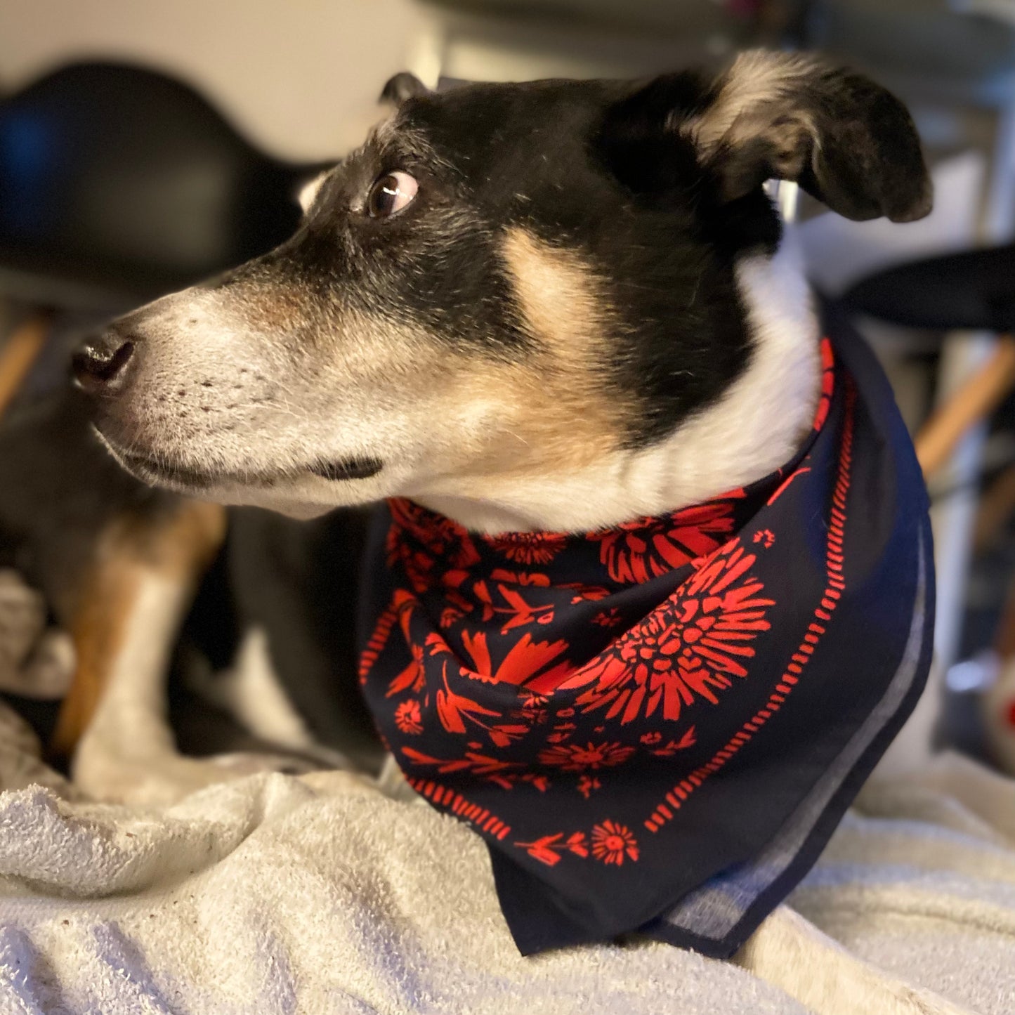 Red/Pink Flower Pattern Bandana | 100% Cotton | Hand Screen Printed | 22 x22 inches | All-Over Print Bandana