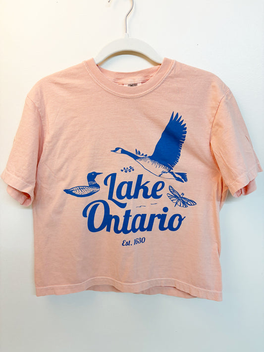 Tshirt Limited Edition LAKE ONTARIO Boxy Fit Cotton - BEIGE or PINK - Original Screen Print - Women