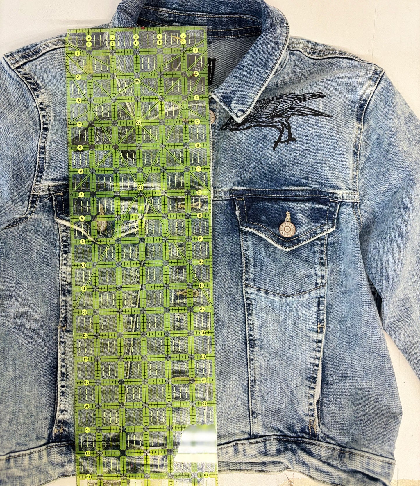 One of a Kind Upcycled Jean with Hand Printed Birds Owls and Ravens