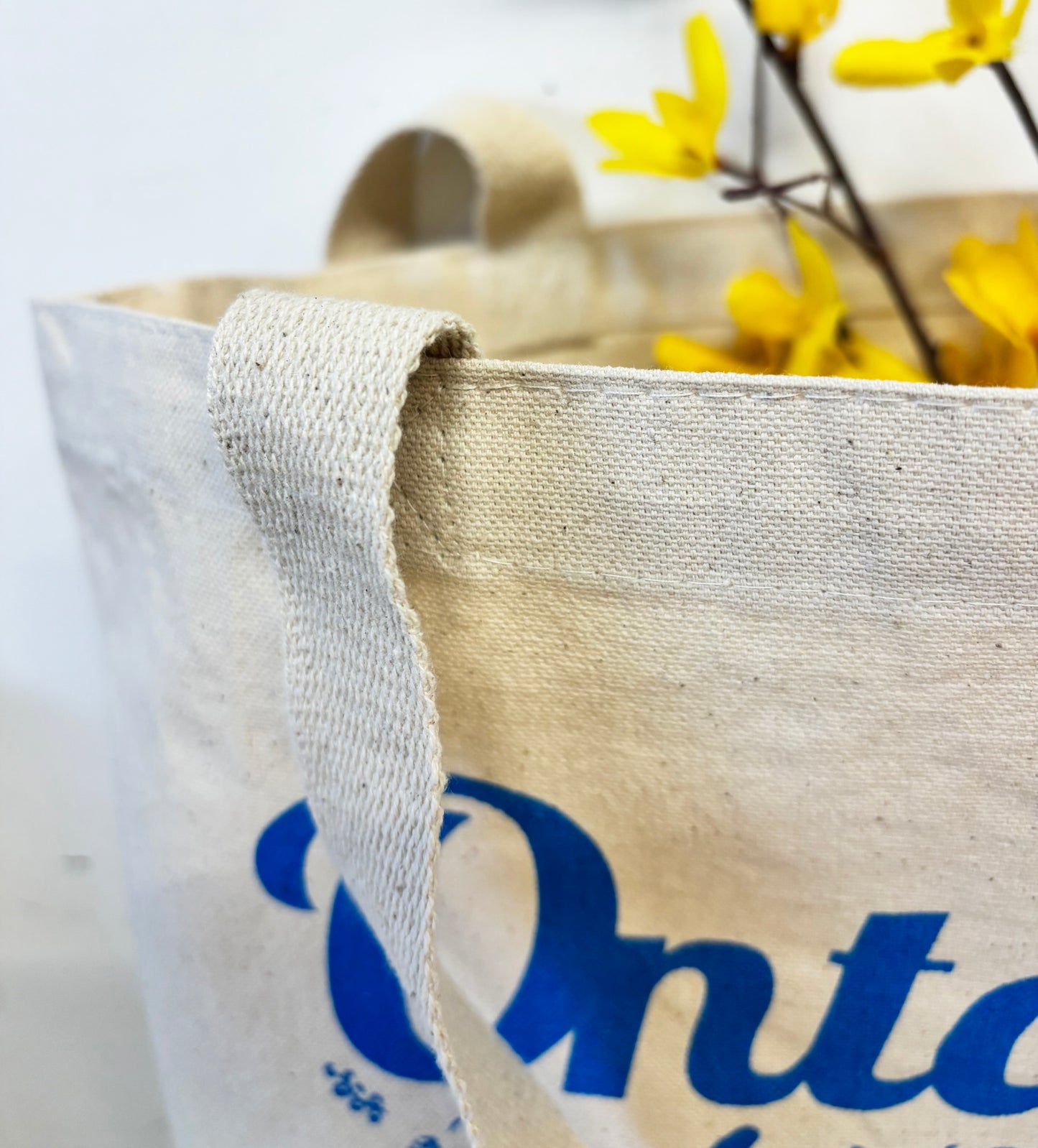 Ontario Cotton Tote Blue Hand Printed Every Day