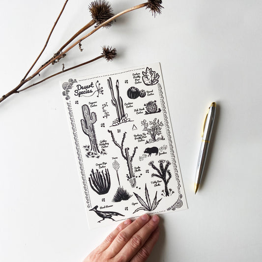 Desert Species Postcard - HUGE 6x9 - Cactus