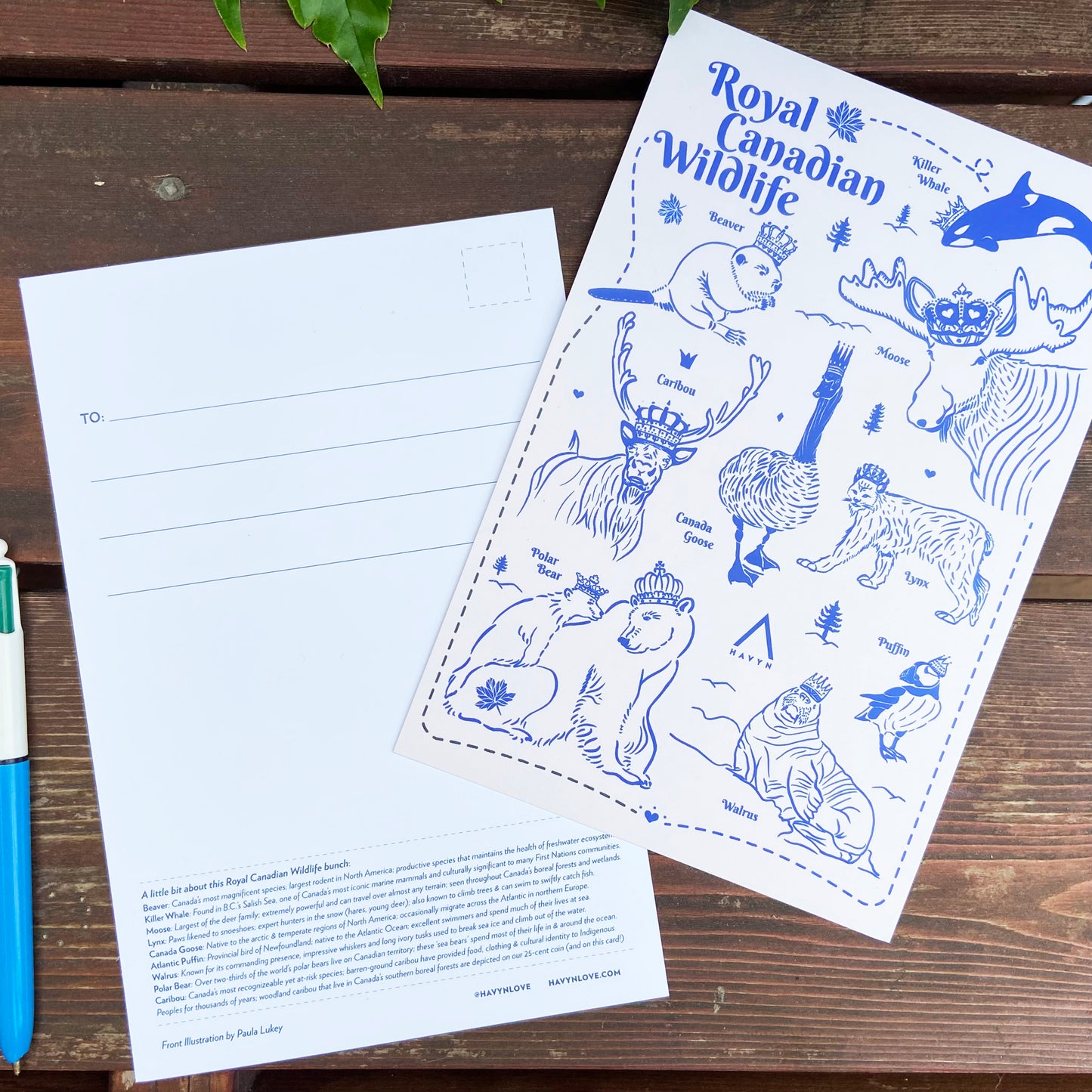 Postcard - Royal Canadian Wildlife - HUGE 6x9 - Recycled Paper