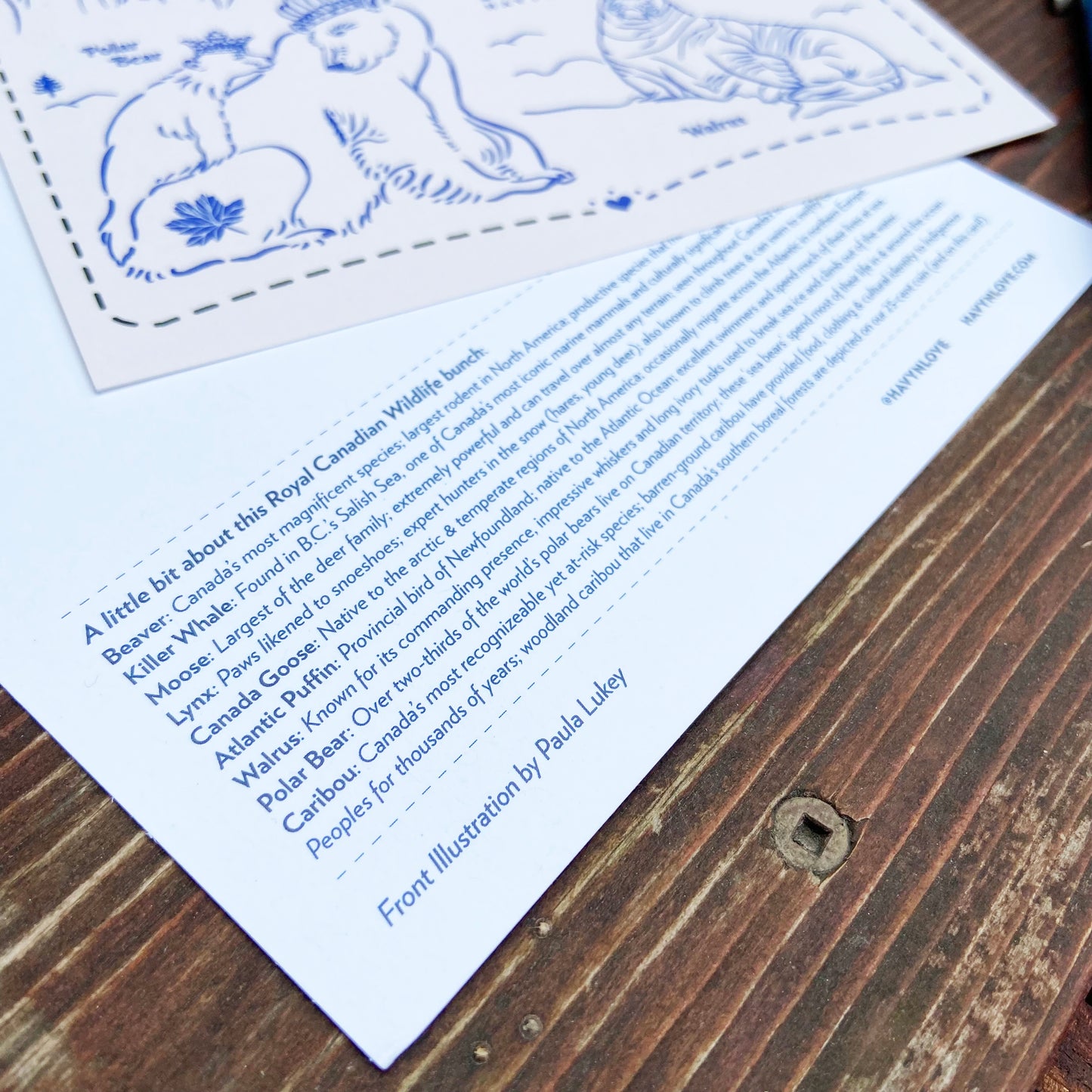 Postcard - Royal Canadian Wildlife - HUGE 6x9 - Recycled Paper
