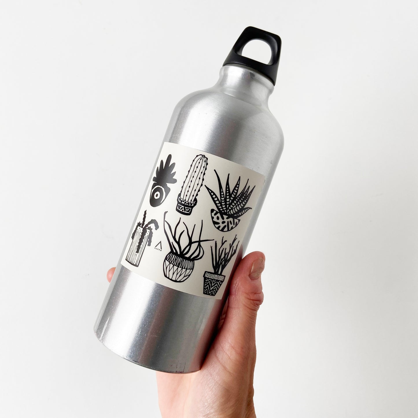 Succulents Vinyl Sticker