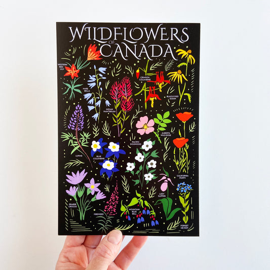 Wildflowers of Canada Postcard - HUGE 6x9 - Floral Botanical Art