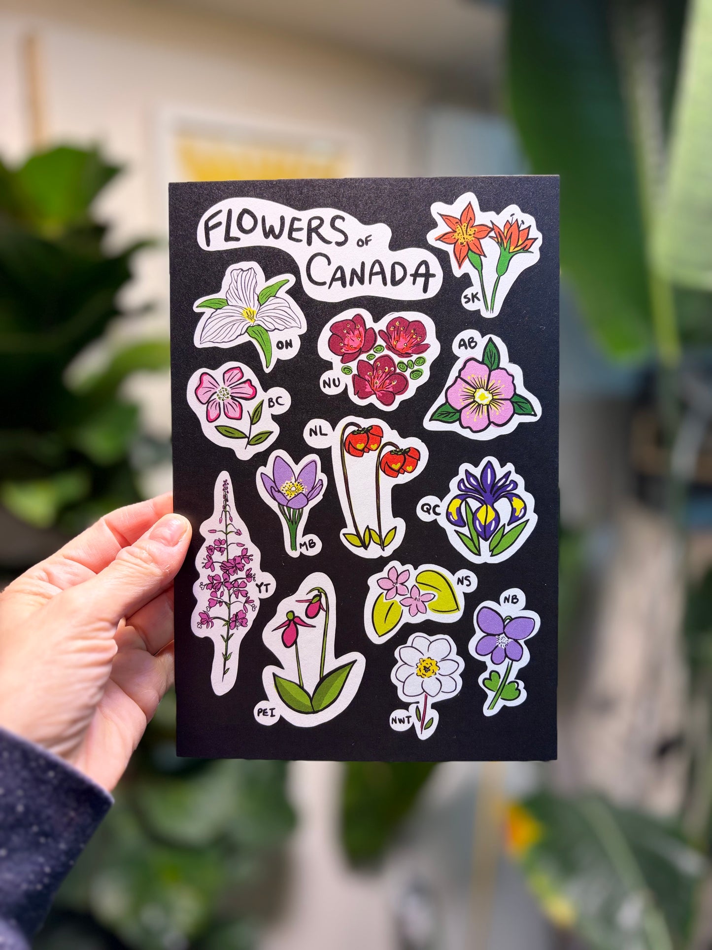 Flowers of Canada Postcard - HUGE 6x9 - Floral Botanical Art
