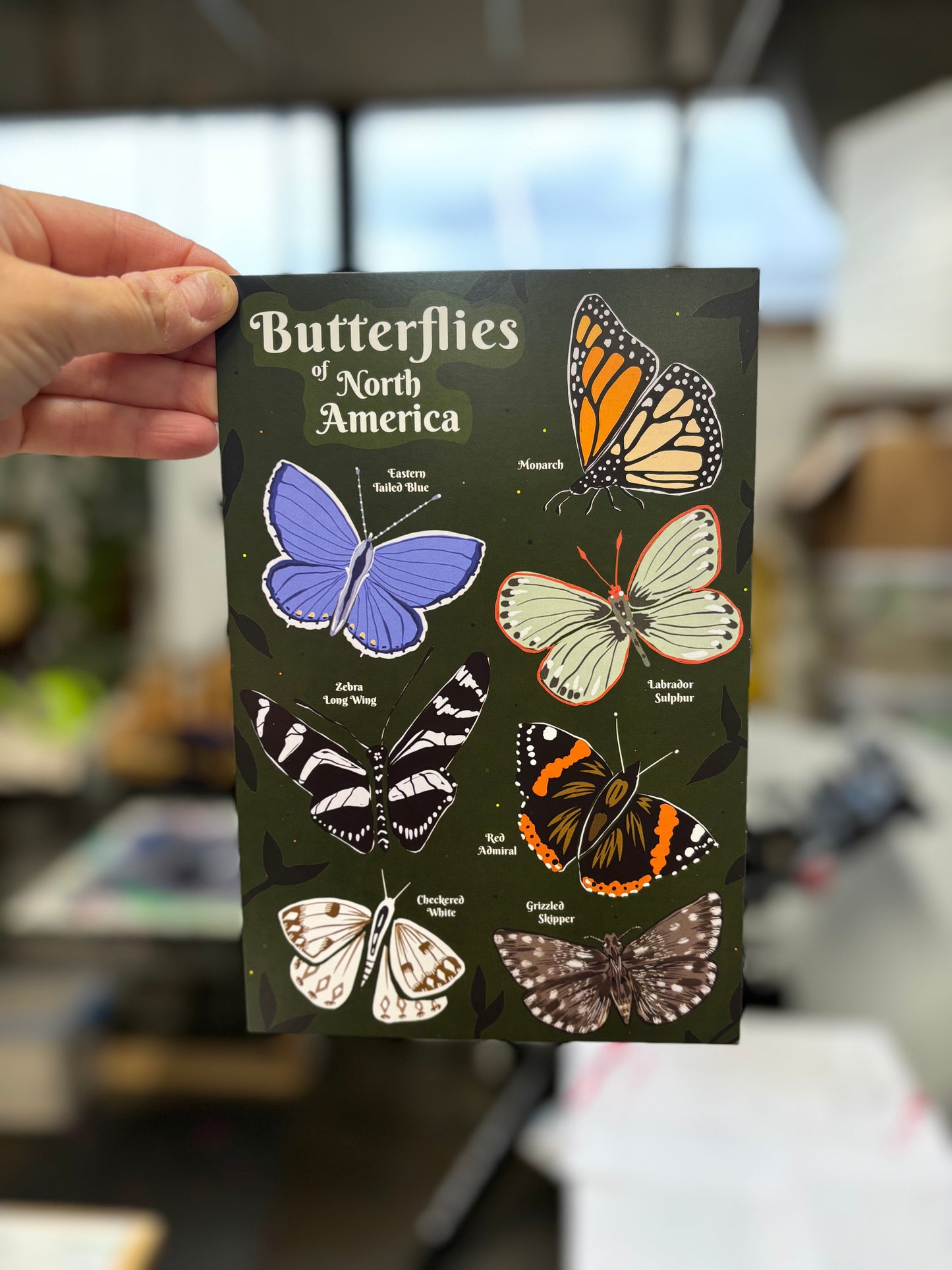 Butterflies of North America Postcard 6x9