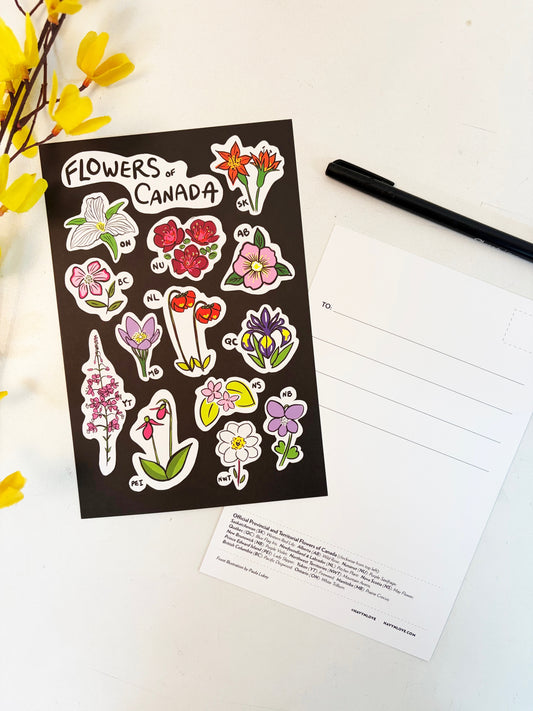 Flowers of Canada Postcard - HUGE 6x9 - Floral Botanical Art