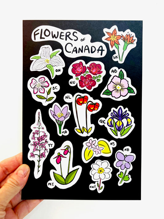 Flowers of Canada Postcard - HUGE 6x9 - Floral Botanical Art