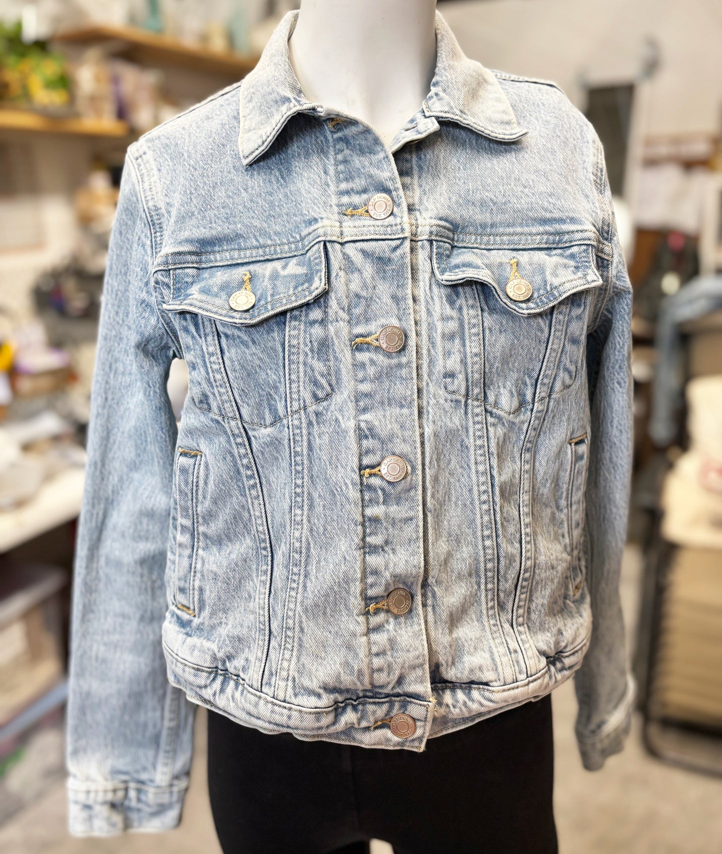 One of a Kind Upcycled Denim Jacket with Hand Printed Symmetrical Birds