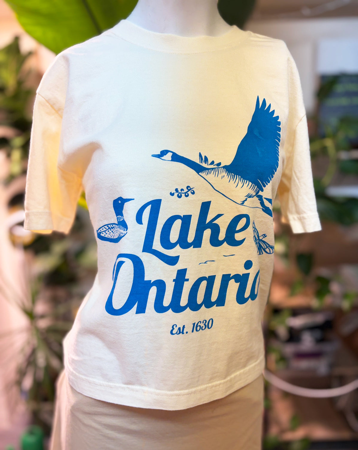 Tshirt Limited Edition LAKE ONTARIO Boxy Fit Cotton - BEIGE or PINK - Original Screen Print - Women