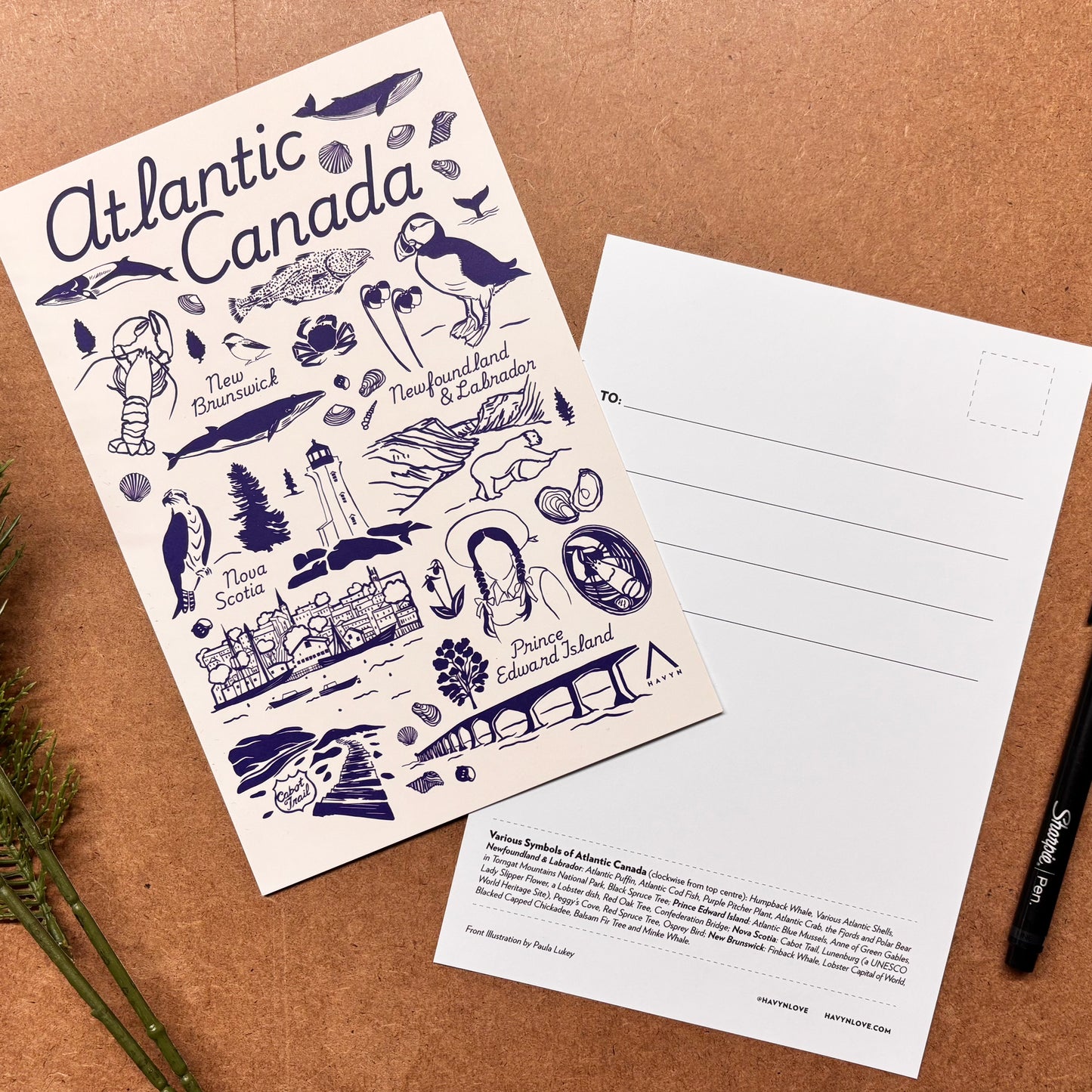 Postcard - Atlantic Canada Symbols - HUGE 6x9 - Recycled Paper