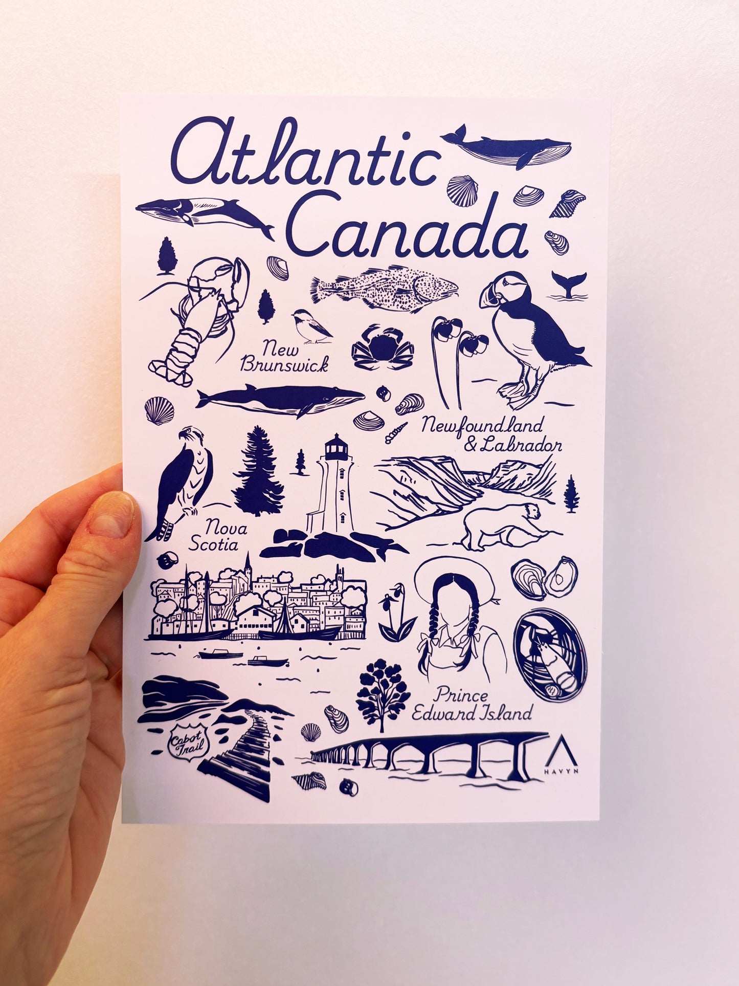 Postcard - Atlantic Canada Symbols - HUGE 6x9 - Recycled Paper