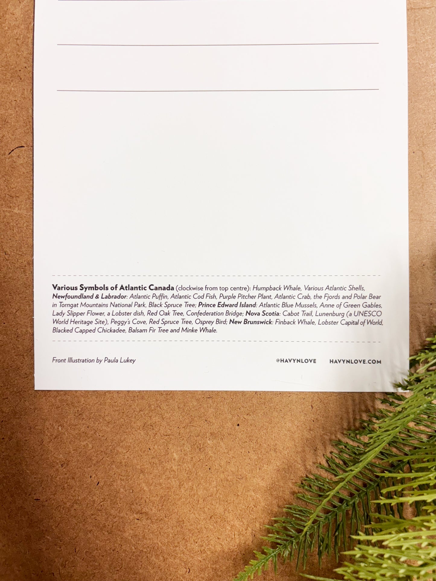 Postcard - Atlantic Canada Symbols - HUGE 6x9 - Recycled Paper