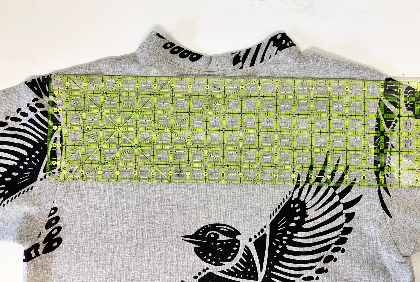 Grey Fleece Short Sleeve Sweatshirt - Giant Birds 001 - Hand Printed - One of a Kind - Apparel