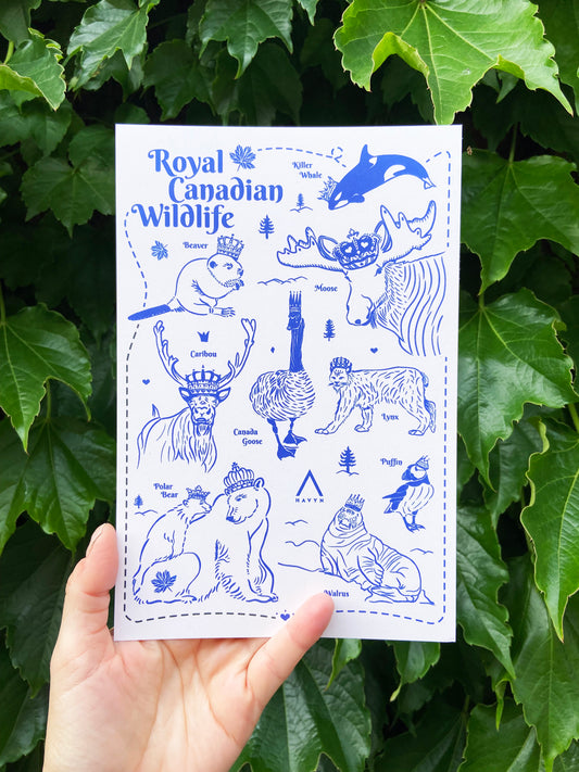 Postcard - Royal Canadian Wildlife - HUGE 6x9 - Recycled Paper